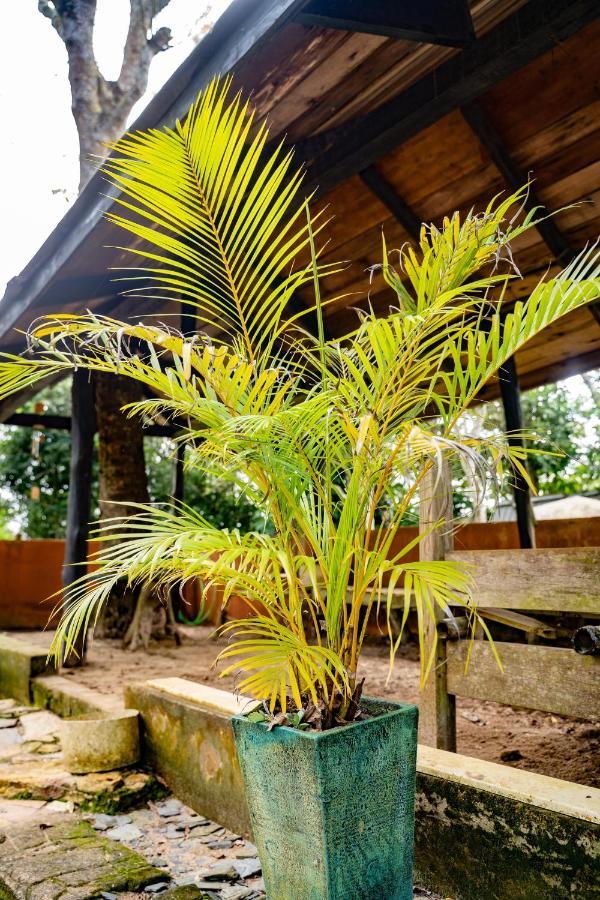 Nature'S Cradle Obosomase Εξωτερικό φωτογραφία
